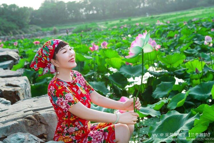 采菊东篱下【兰亭雅韵】