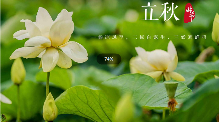 雪儿🎤V娱热点