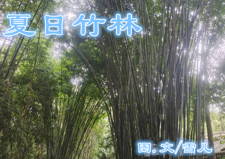 雪儿🎤V娱热点