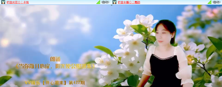 无言🎤V娱热点