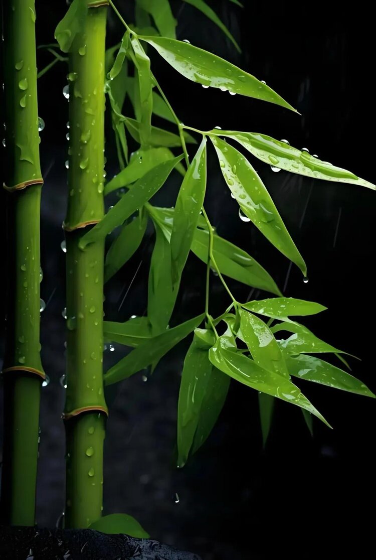 小浅🎤V娱热点