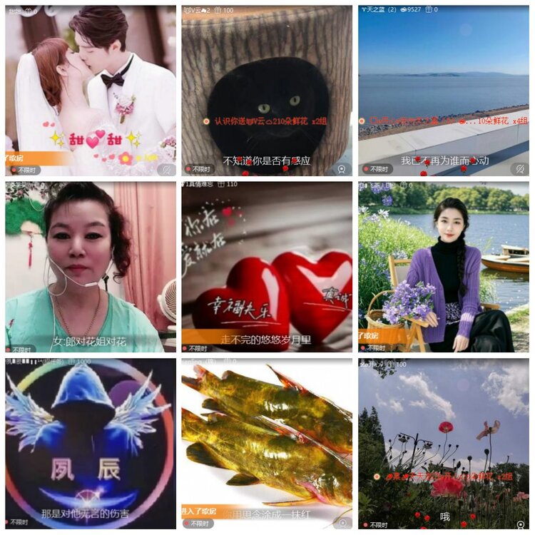 惜缘🎤V娱热点