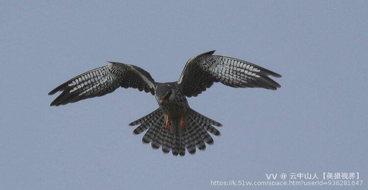 云中山人【美摄视界】