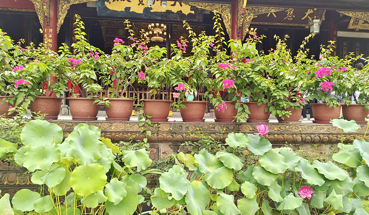 雪儿🎤V娱热点