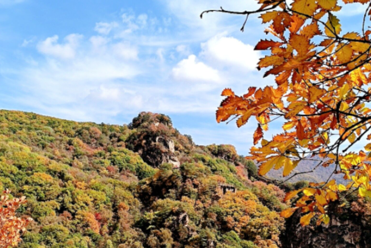 雪儿🎤V娱热点