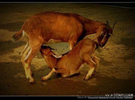 ᦦ້ᮨ꯭໌瑞声ꦿᮨ࿐温馨