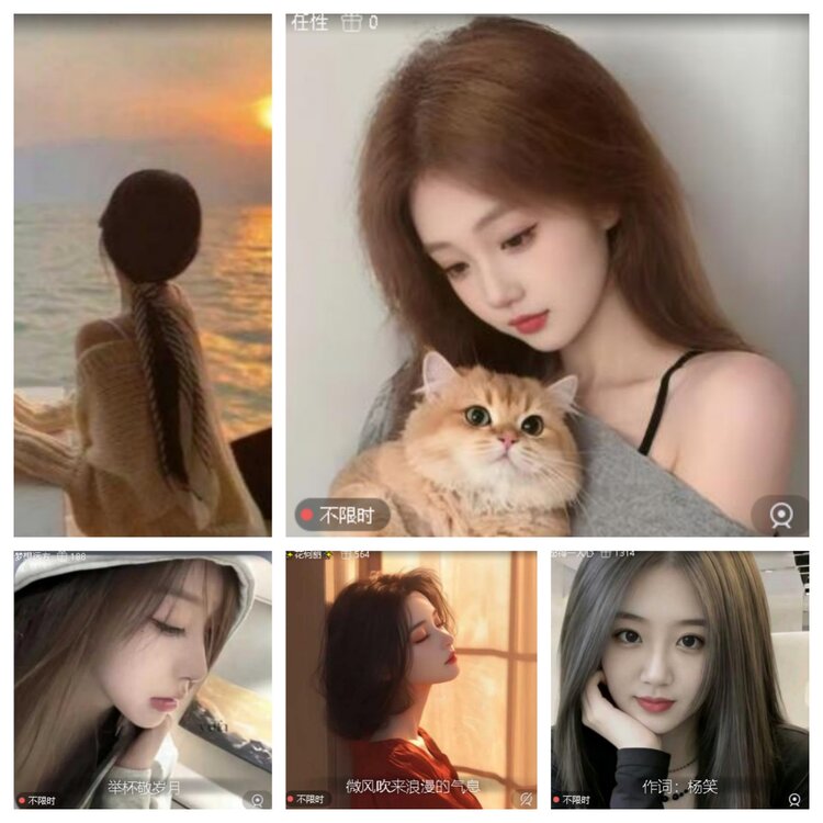 心玫🎤V娱热点