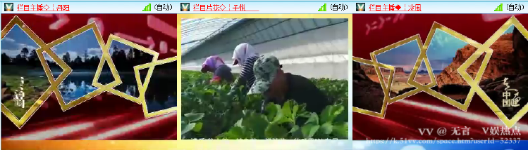 无言🎤V娱热点