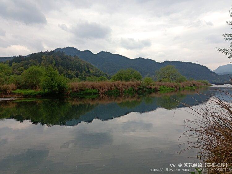 繁花似锦【美摄视界】
