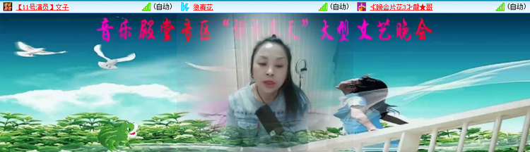 无言🎤V娱热点