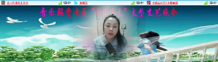 无言🎤V娱热点