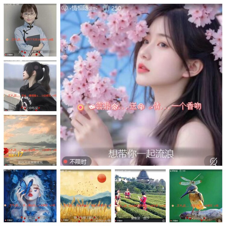 心玫🎤V娱热点