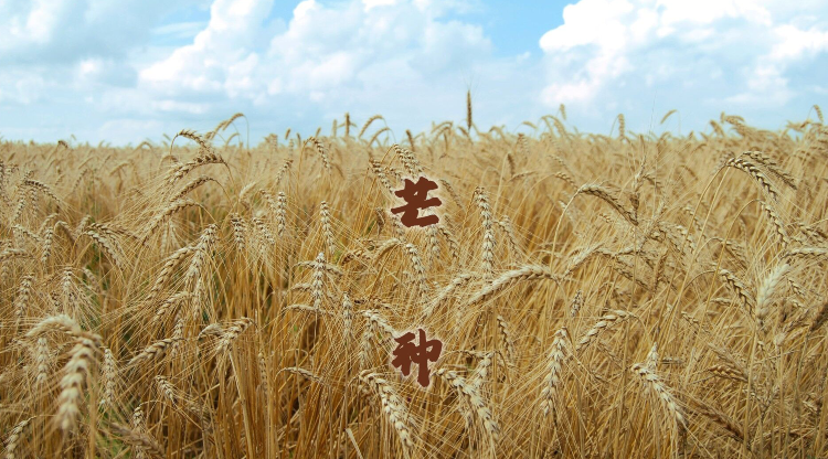 雪儿🎤V娱热点