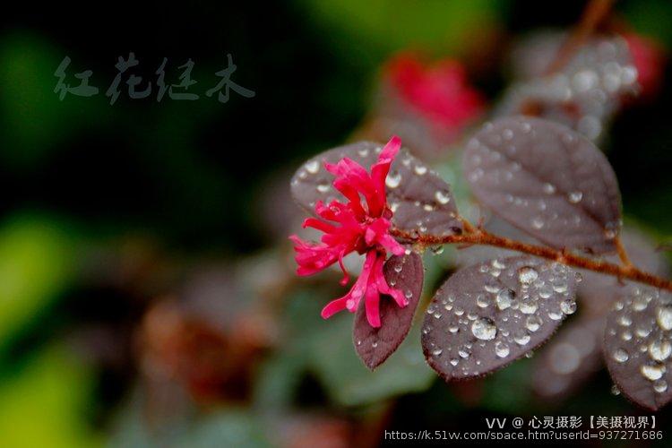 心灵摄影【美摄视界】