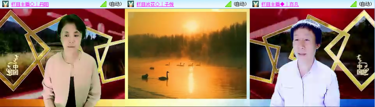 无言🎤V娱热点