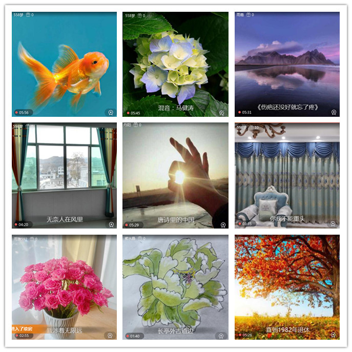 听云🎤V娱热点