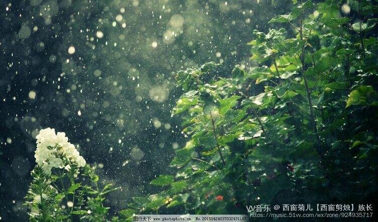 浪漫的人