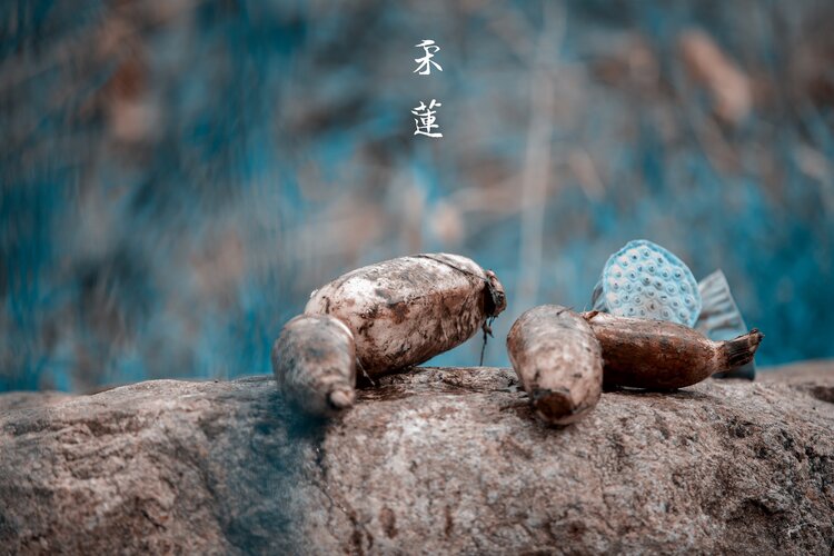 杨丽陕西西安