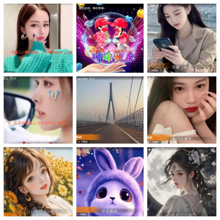 海燕🎤V娱热点