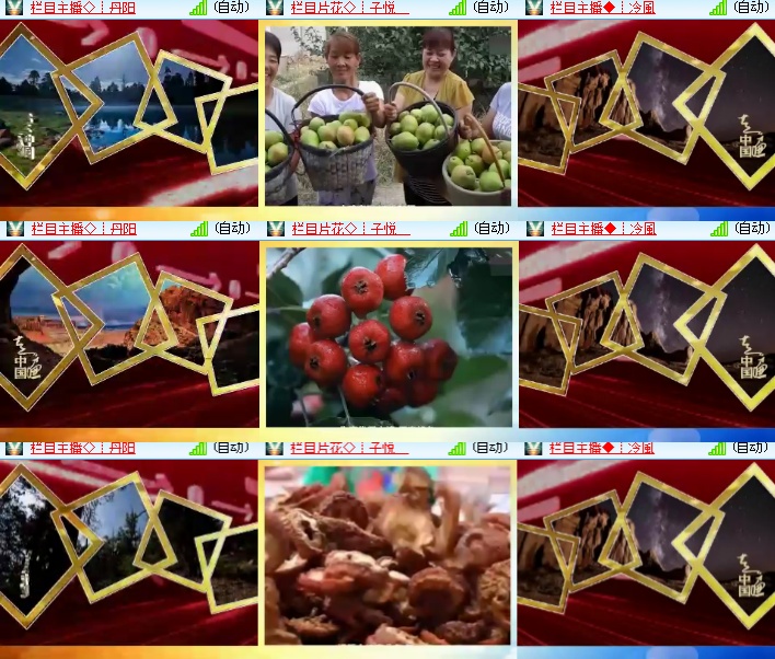 海燕🎤V娱热点