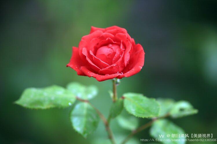 朗日清风【美摄视界】