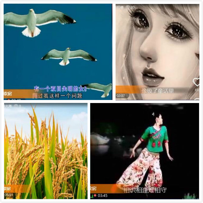 柠檬🎤V娱热点