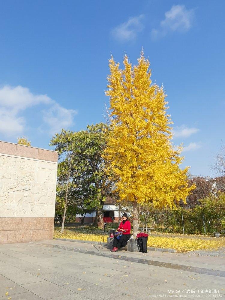 石岩磊（文声汇影）