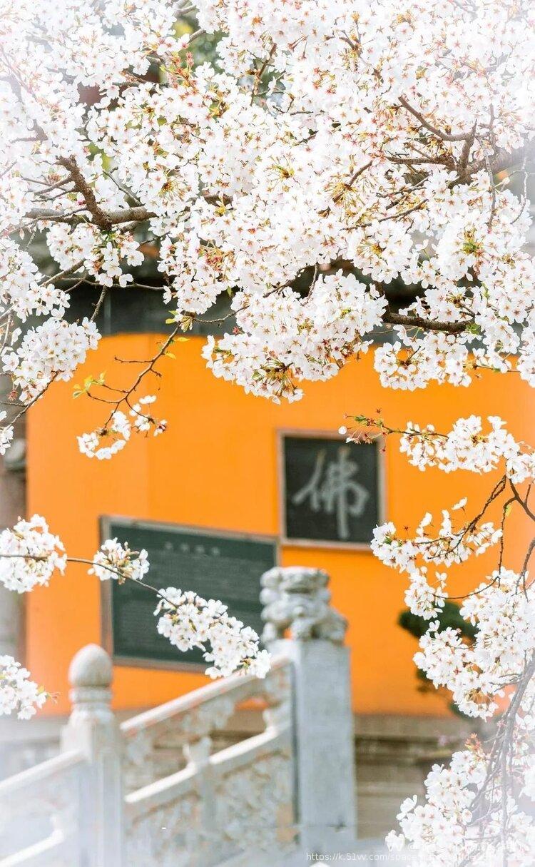 禅心（心灵成长作者）