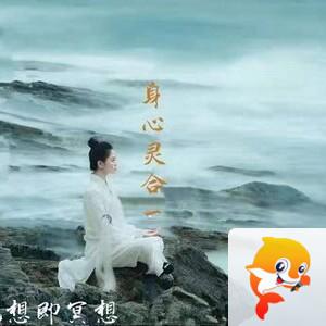 証悟:修炼静坐十二心法 - VV