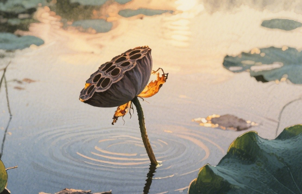 曾经🎤V娱热点