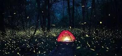 曾经🎤V娱热点