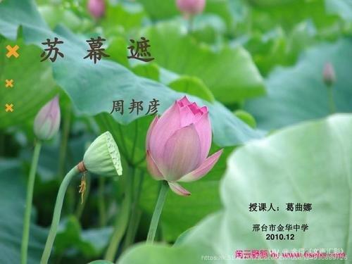 舍得《文声汇影》