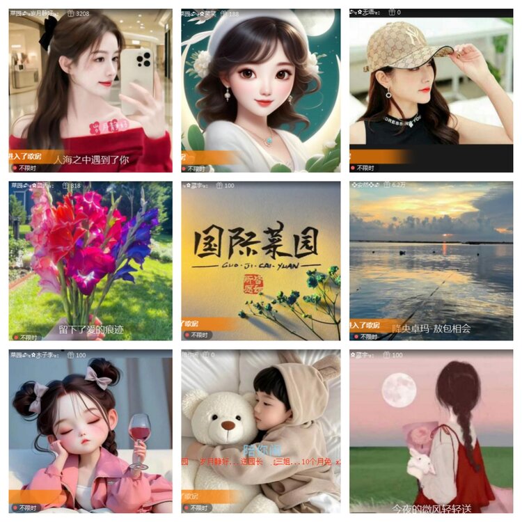 海燕🎤V娱热点