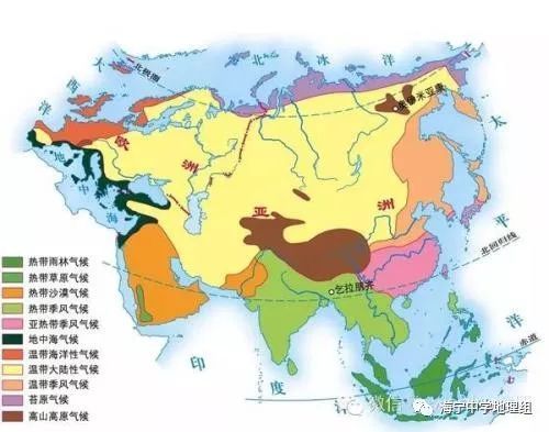 大槐树