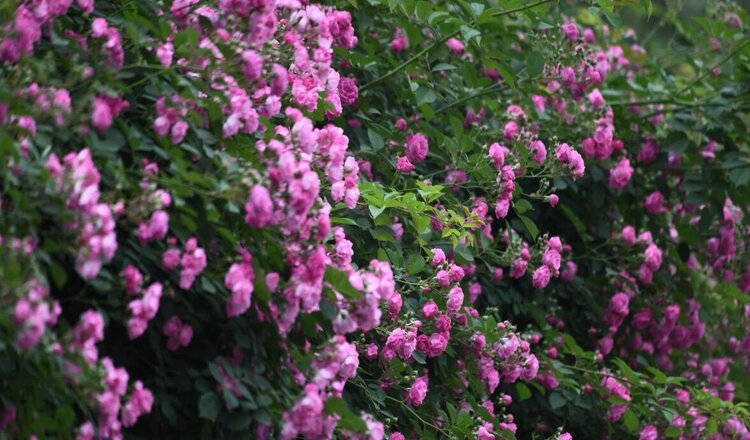 曾经🎤V娱热点