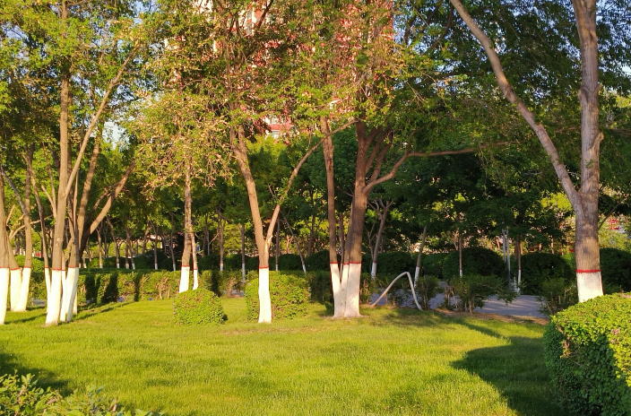 雪儿🎤V娱热点