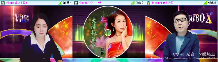 无言🎤V娱热点