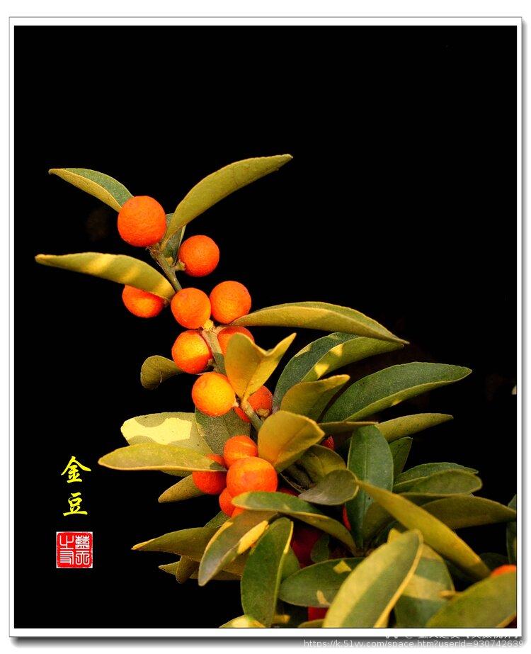 蓝天之友【美摄视界】