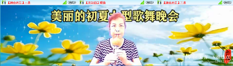 无言🎤V娱热点