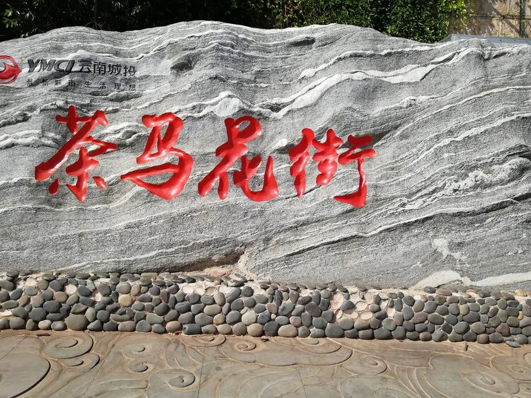 幽兰一箭香(赵放岚)