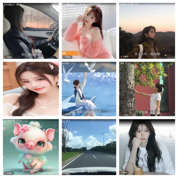 海燕🎤V娱热点