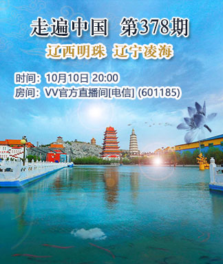 港湾🎤V娱热点