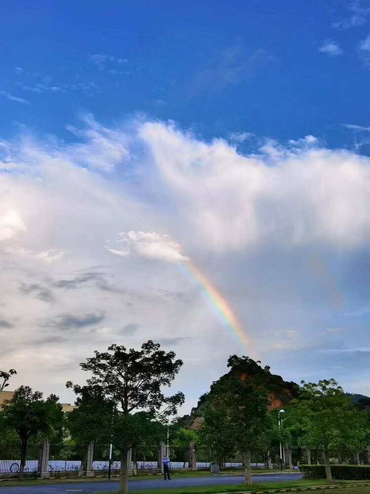 风雨过后总会见彩虹