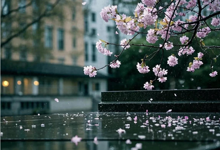 小浅🎤V娱热点