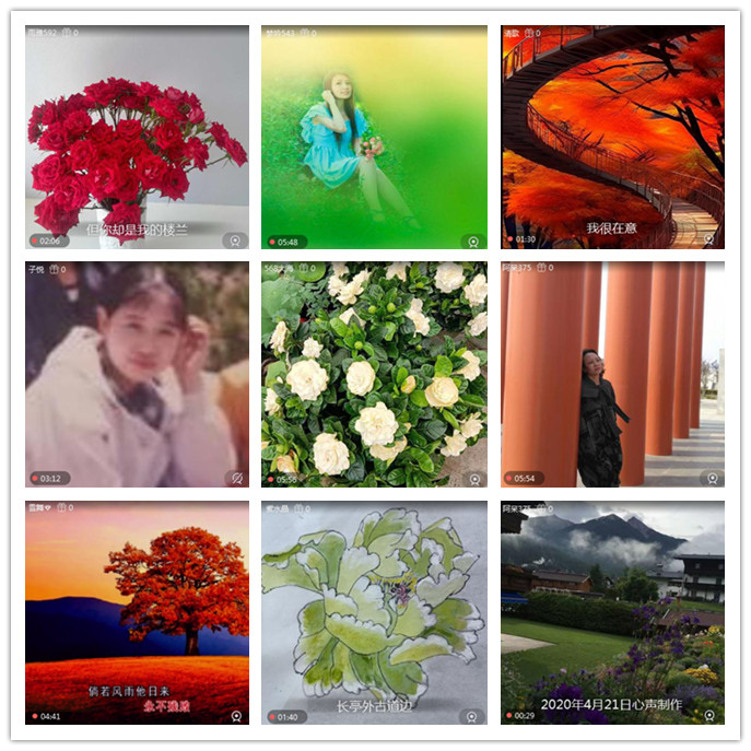 听云🎤V娱热点