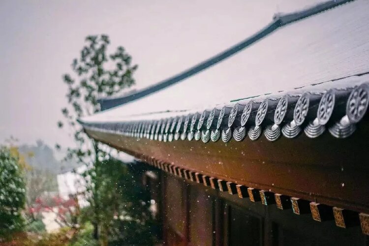 江南乔乔【螺号音乐学院】