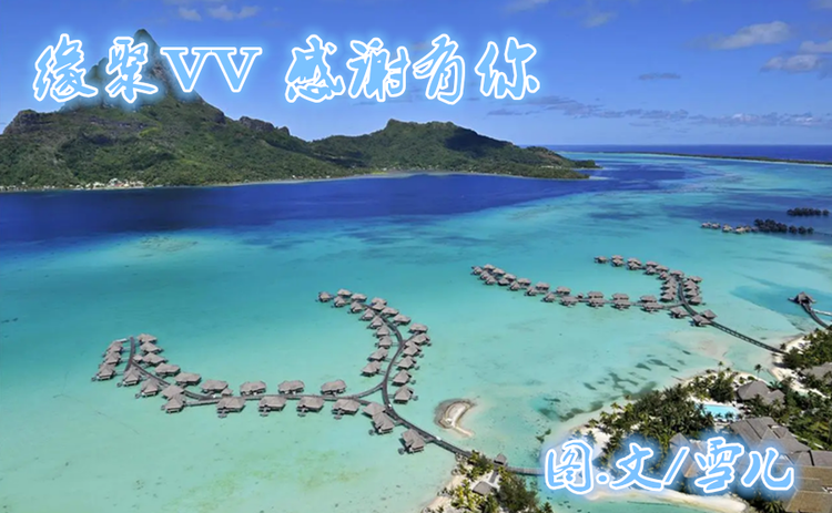 雪儿🎤V娱热点