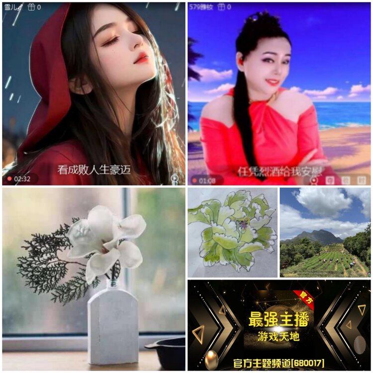 无言🎤V娱热点