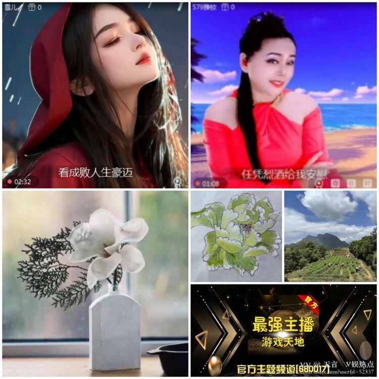 无言🎤V娱热点