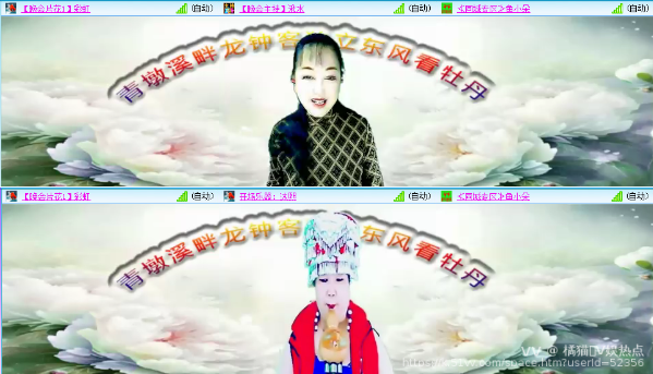 橘猫🎤V娱热点